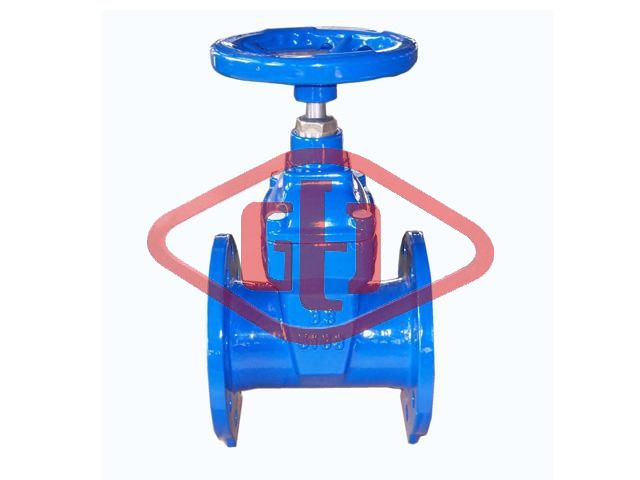 DIN CI Resilient-seated Flanged Gate Valves 